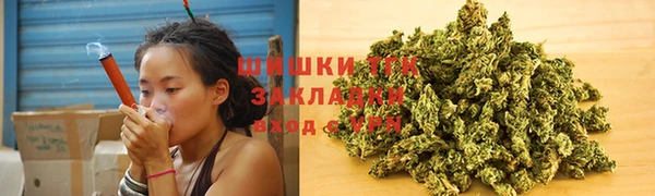 прущий лед Заводоуковск