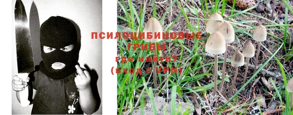 прущий лед Заводоуковск