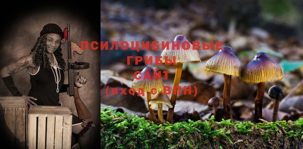 соль курить ск Заволжье