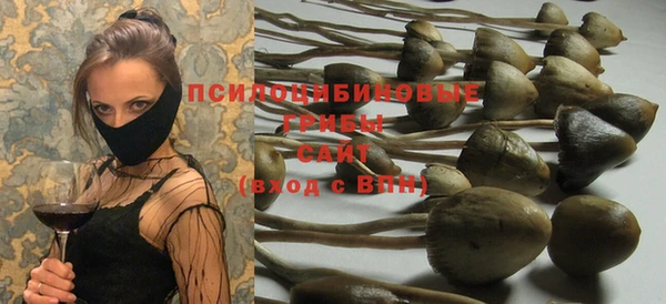 соль курить ск Заволжье