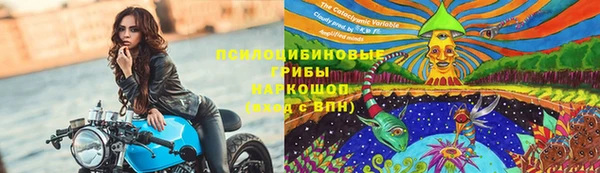 прущий лед Заводоуковск